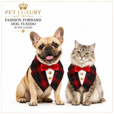 Fashion Forward Dog Tuxedo by Pet Luxury - Black And Red Fashion Forward Dog Tuxedo by Pet Luxury - Black And Red