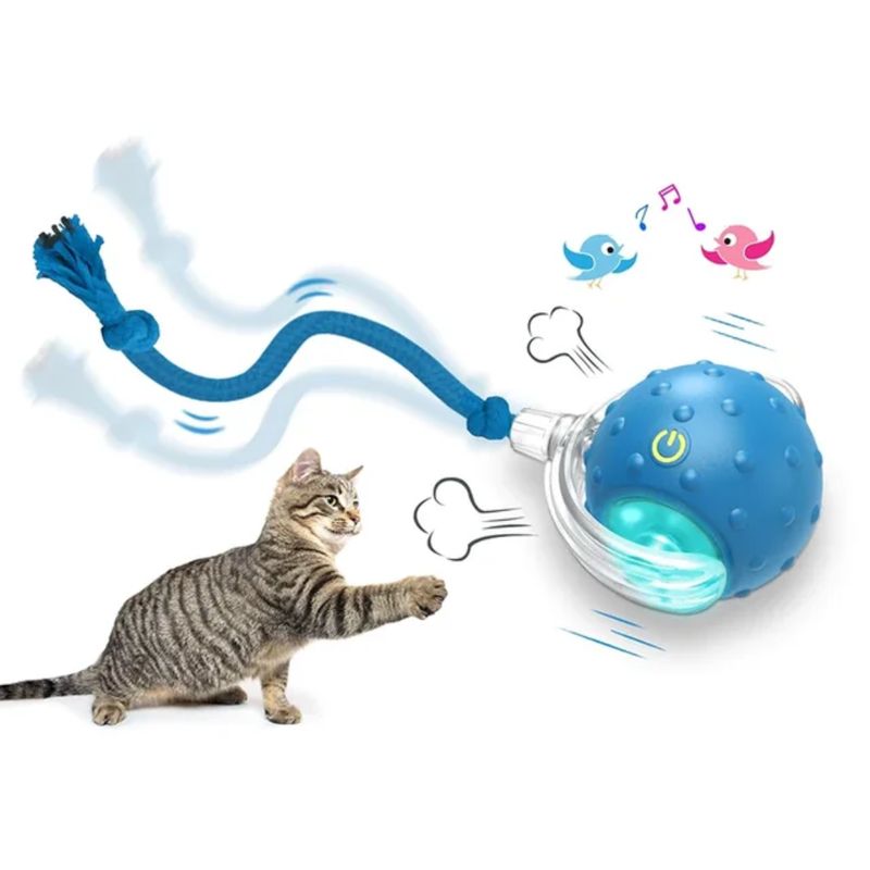 AI. LED Cat and Dog Blue Ball