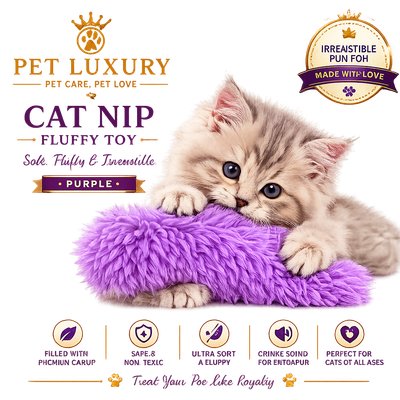 Cat Nip Fluffy Toy - Purple