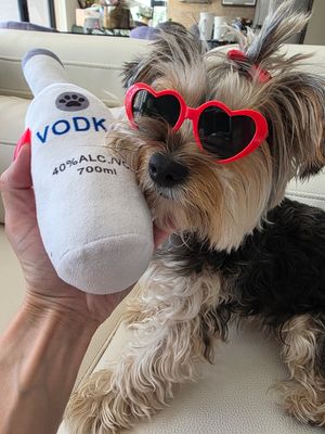 Pet Luxury Bubbly Pet Dog Or Cat Squeaky Toy