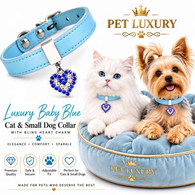 Luxury Baby Blue Cat & Small Dog Collar with Bling Heart Charm | Adjustable Sparkly Rhinestone Pet Collar for Everyday & Party Wear Luxury Baby Blue Cat & Small Dog Collar with Bling Heart Charm | Adjustable Sparkly Rhinestone Pet Collar for Everyday & Party Wear