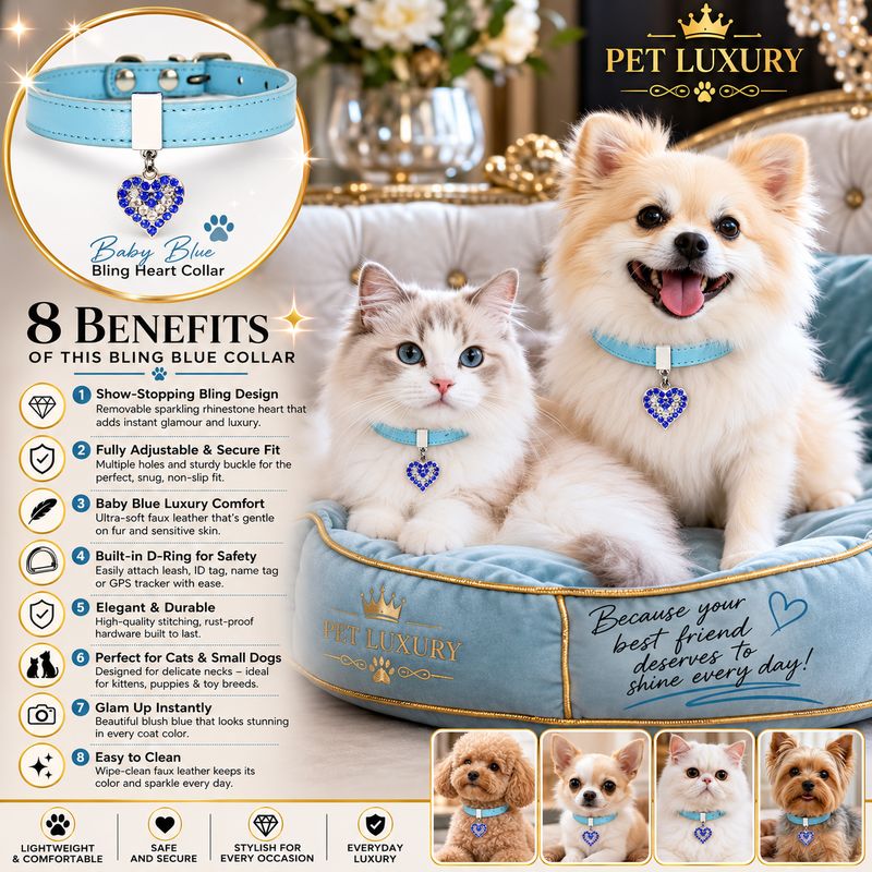 Luxury Baby Blue Cat & Small Dog Collar with Bling Heart Charm | Adjustable Sparkly Rhinestone Pet Collar for Everyday & Party Wear
