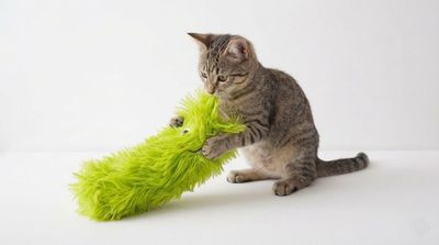 Cat Nip Fluffy Toy-Green