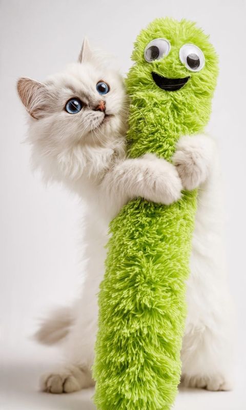 Cat Nip Fluffy Toy - Green