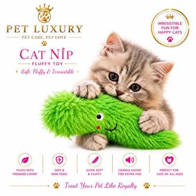 Cat Nip Fluffy Toy - Green