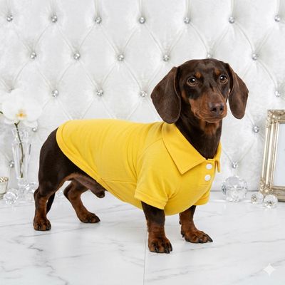 Casual-Chic Golf Styling Pet Shirt-Yellow