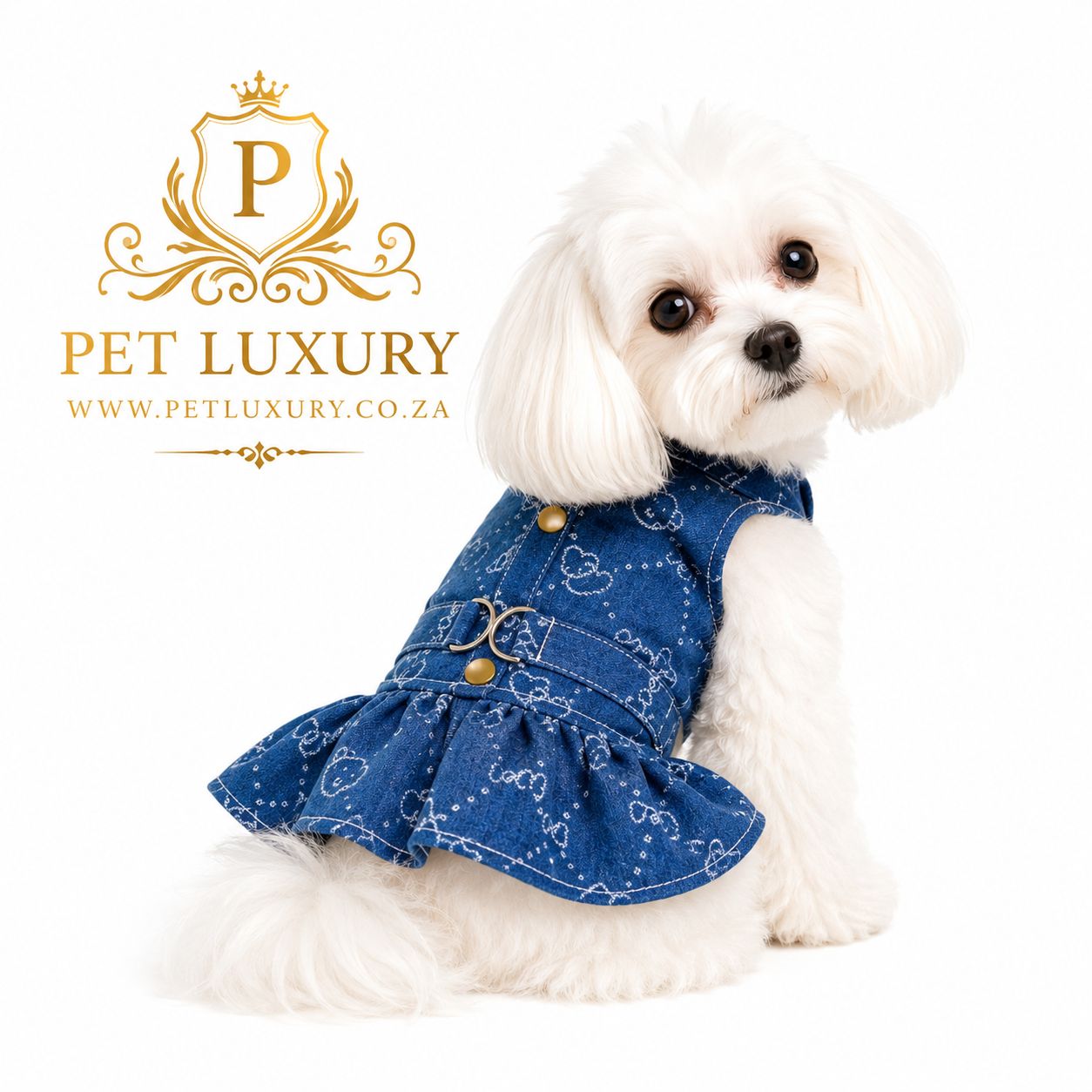 Denim A-List Pet Luxury Dog and Cat Stylish Dress