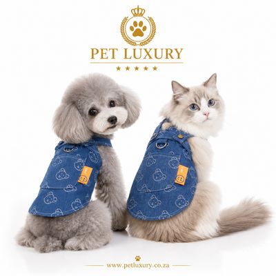 Pet Luxury Dog and Cat A-List Jean Dress