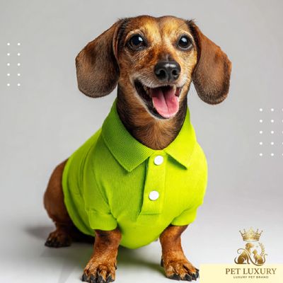 Casual-Chic Golf Styling Pet Cat Or Dog Shirt - Green