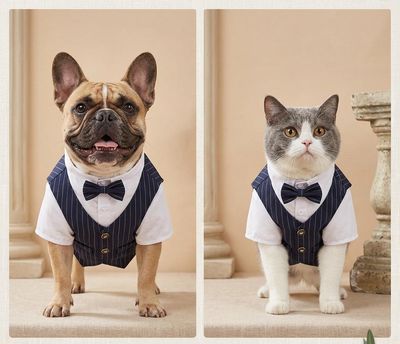 Dog Luxury Pet Taxido-Navy Blue