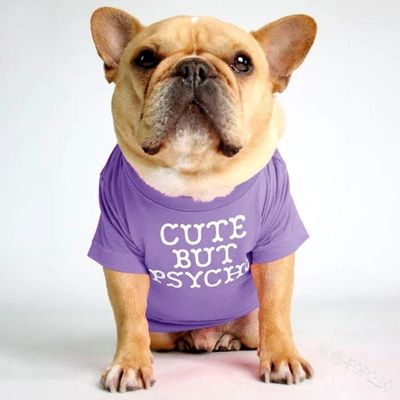 Cuteness Dog Shirt - Purple