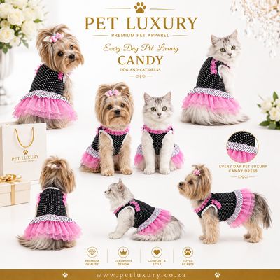 Every Day Pet Luxury Candy Dog And Cat Dress