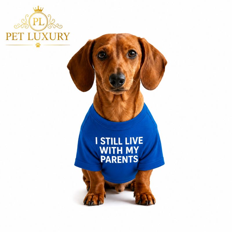 Cuteness Pet Shirt - Blue
