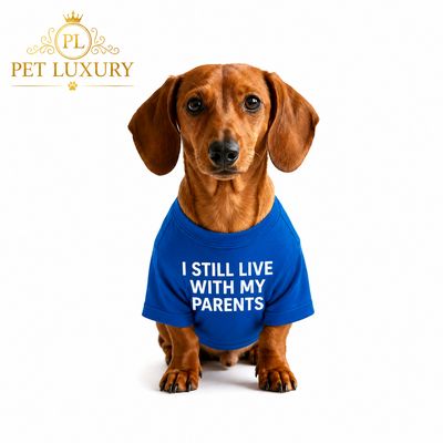 Cuteness Pet Shirt - Blue Cuteness Pet Shirt - Blue