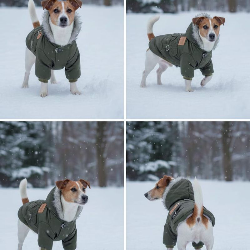 Pet Luxury FuzzyFur Winter Pet Jacket-Green