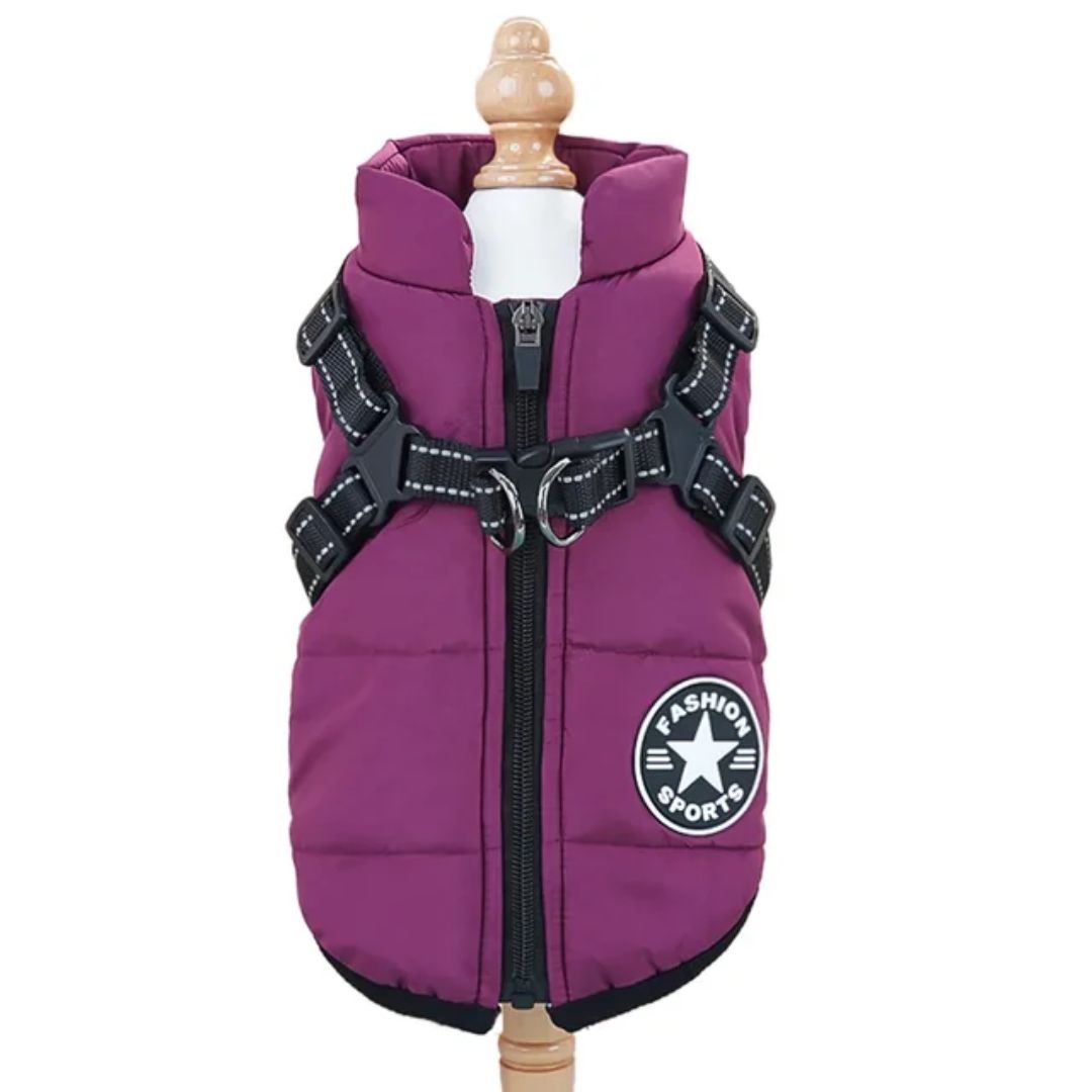 North Paw Leash Grib 4 in 1 Jacket-Purple