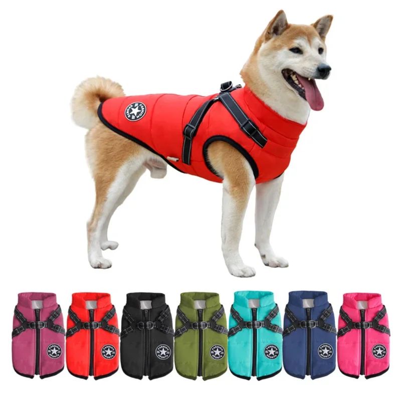Pet Luxury: North Paw Leash Grib 4 in 1 Jacket – Royal Purple