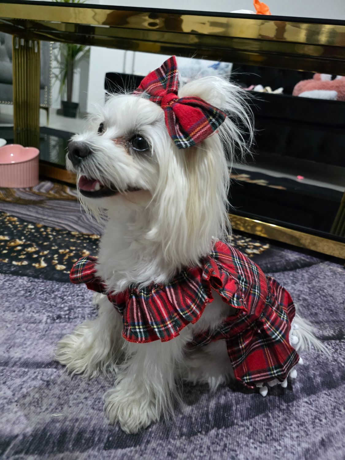 Pet Luxury's Royal Scottish Dog Or Cat Dress With Bow