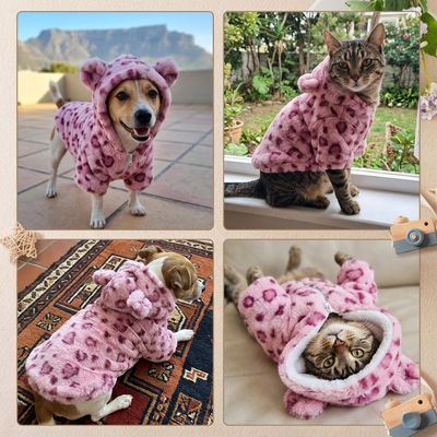 Bear A - List Range Pet Jersey Hoodie - Pink