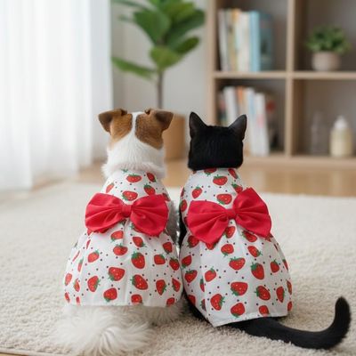 Berry Summer Pet Dress