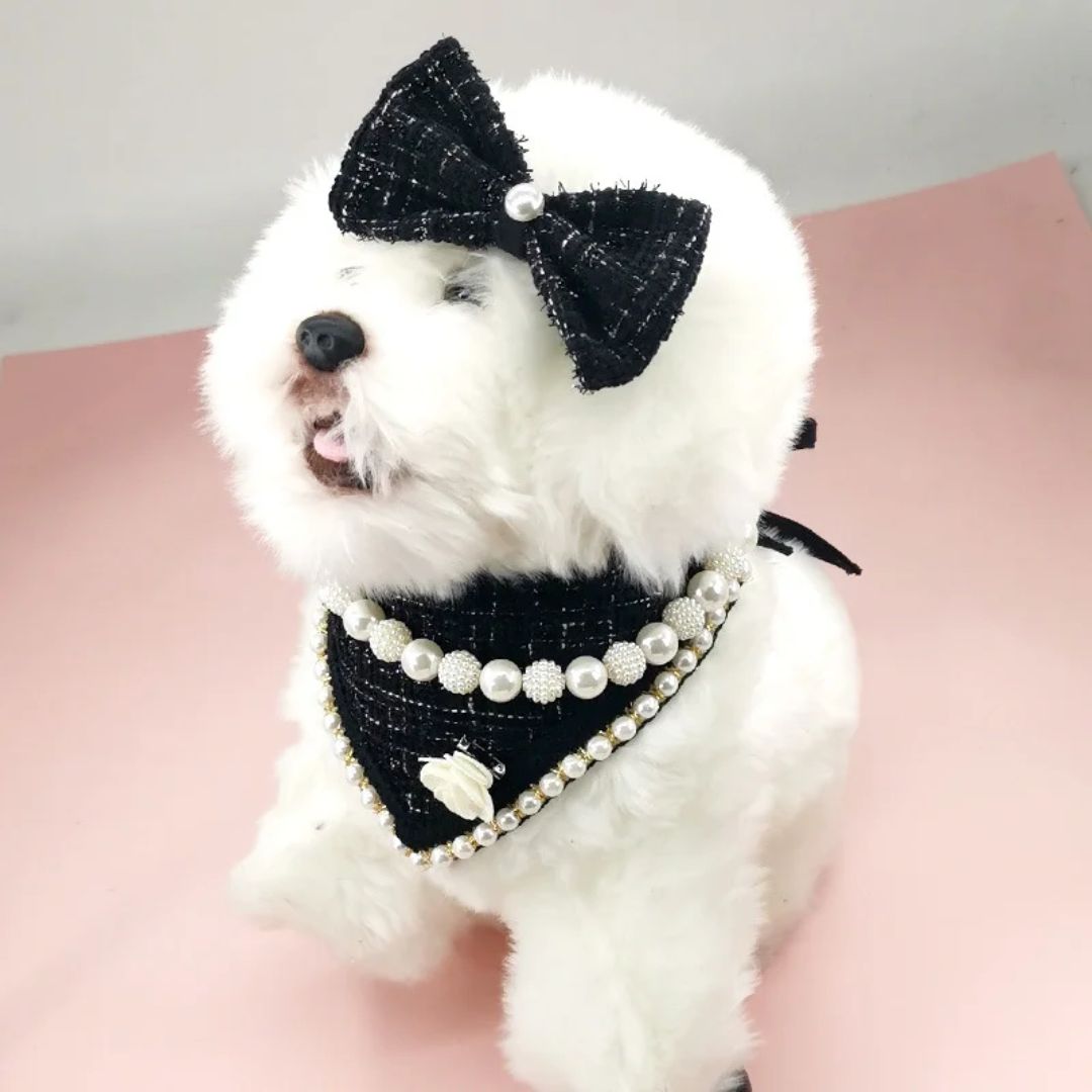 Hallo Furry Pet Accessories Set