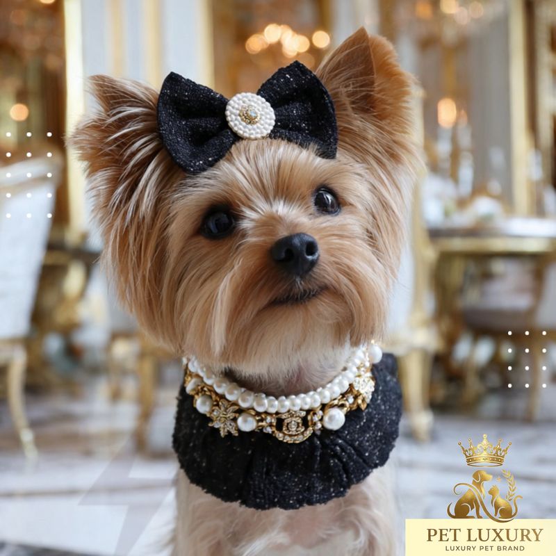 Hallo Furry Pet Luxury Accessories Set