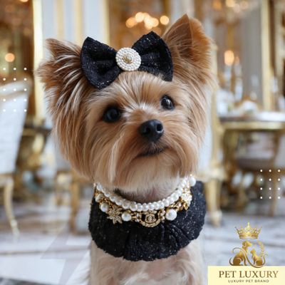 Hallo Furry Pet Luxury Accessories Set Hallo Furry Pet Luxury Accessories Set