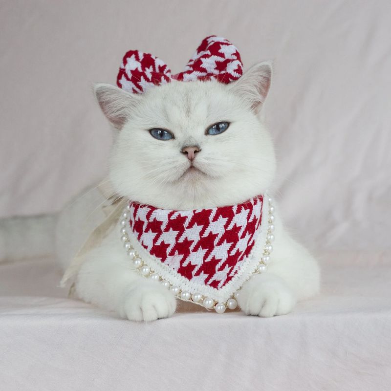 Pet Luxury Cat And Dog Accessories Set - Red