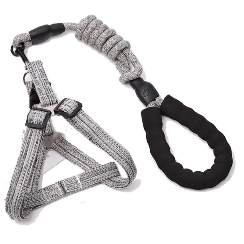 Zilver Paws Dog Leach And Harness-Grey