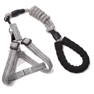 Zilver Paws Dog Leach And Harness-Grey