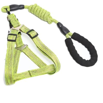 Zilver Paws Dog Leash And Harness - Green