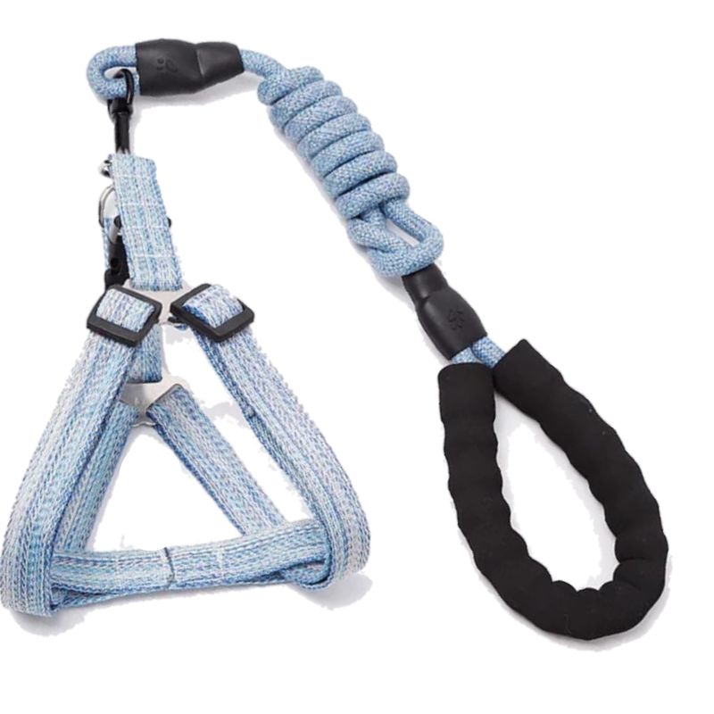 Zilver Paws Dog Leash And Harness - Blue
