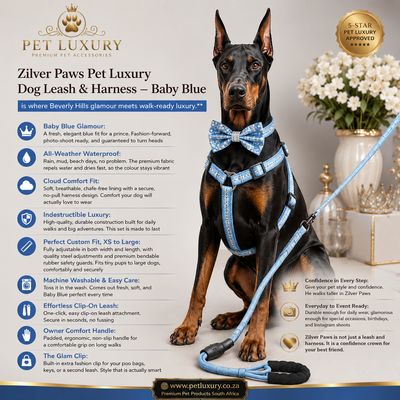 Zilver Paws Pet Luxury Dog Leash And Harness - Blue