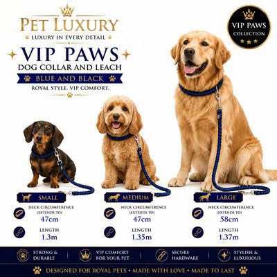 VIP PAWS Dog Collar and Leach - Blue and Black VIP PAWS Dog Collar and Leach - Blue and Black