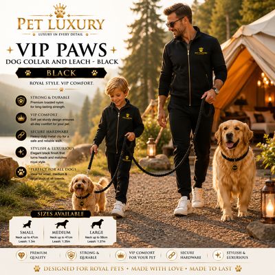 VIP PAWS Dog Collar And Leach - Black