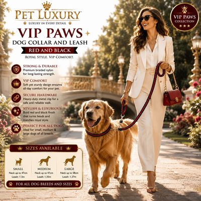 VIP PAWS Dog Collar And Leach - Red And Black