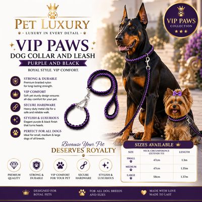 VIP PAWS Dog Collar And Leach - Purple And Black