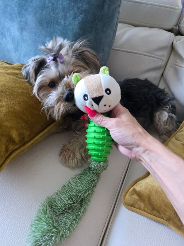 Dashing Fox Pet Dog Squeaky Toy Dashing Fox Pet Dog Squeaky Toy