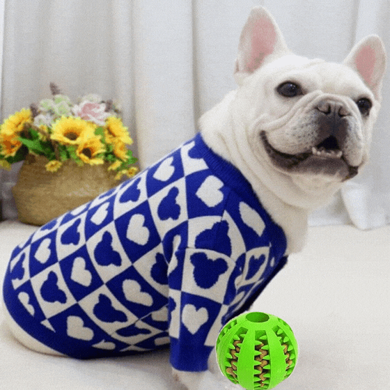 Coco Paw Dog Feeder Ball - Green