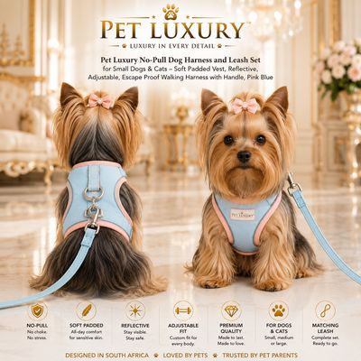 Pet Luxury No-Pull Dog Harness and Leash Set for Small Dogs & Cats – Soft Padded Vest, Reflective, Adjustable, Escape Proof Walking Harness with Handle, Pink Blue