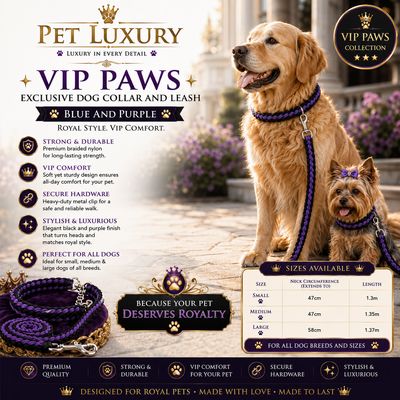 VIP PAWS Exclusive Dog Collar And Leach - Blue and Purple