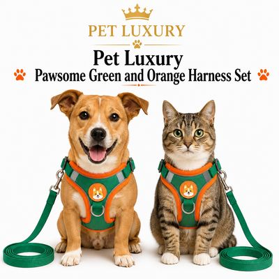 Pet Luxury Pawsome Green and Orange Harness Set Pet Luxury Pawsome Green and Orange Harness Set