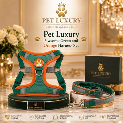 Pet Luxury Pawsome Green and Orange Harness Set