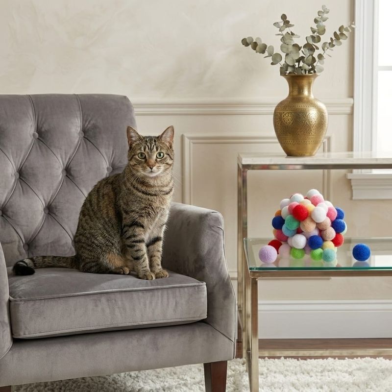 Pet Luxury Fluffy Cat Play Ball