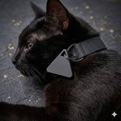 Pet Luxury Dog And Cat Pet Tracker-Black