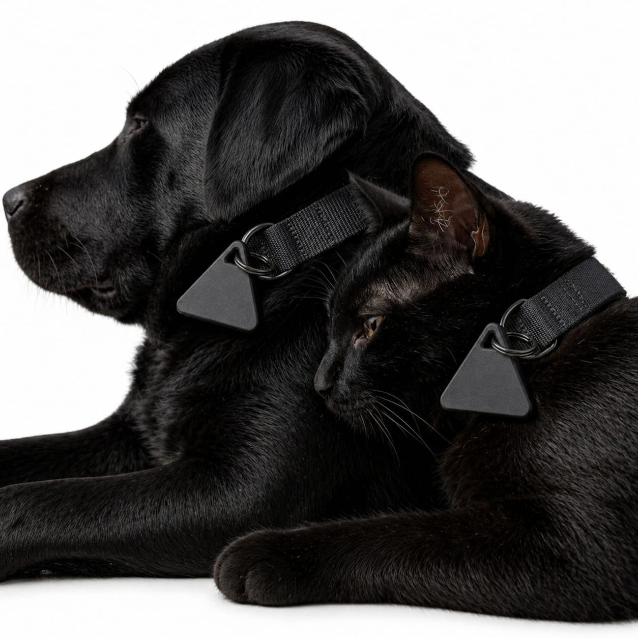 Pet Luxury Dog And Cat Pet Tracker-Black