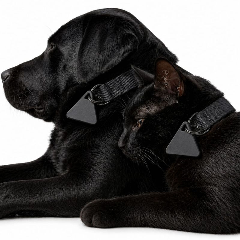 Pet Luxury Dog And Cat Pet Tracker-Black