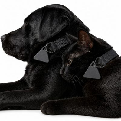 Pet Luxury Dog And Cat Pet Tracker-Black