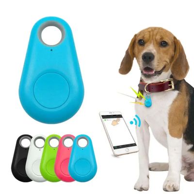 PetLuxury.app Companion Dog And Cat Blue Tracker