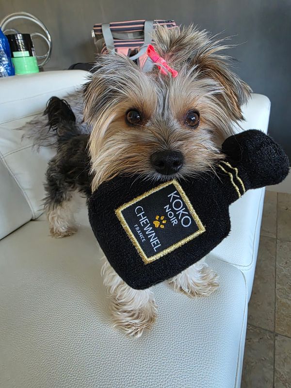 KOKO Luxury Pet Toy Collection